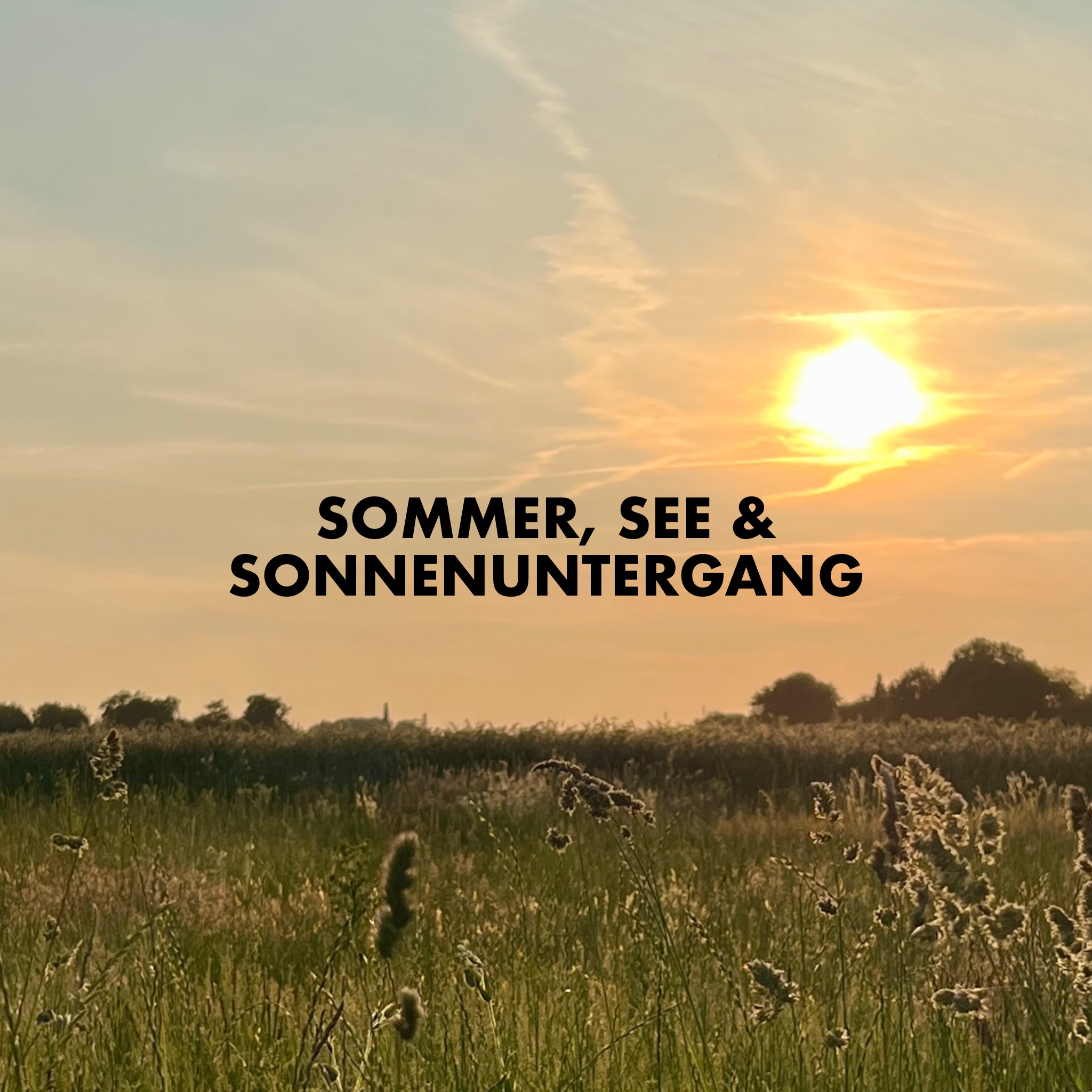 Playlist von Dominik Holzer: Sommer, See & Sonnenuntergang