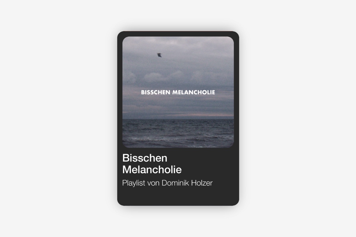 Artwork zu Playlist „Bisschen Melancholie“: Meer, grauer Himmel, ein einsamer Vogel